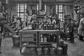 Produktionshalle in der Fabrik für ätherische Öle Rudolf Lauche, 1920; Foto: Stadtgeschichtliches Museum Leipzig, Fotoatelier Hermann Walter